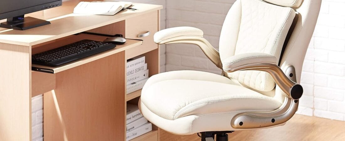 Ergonomic Executive Office Desk Chair with Lumbar Support