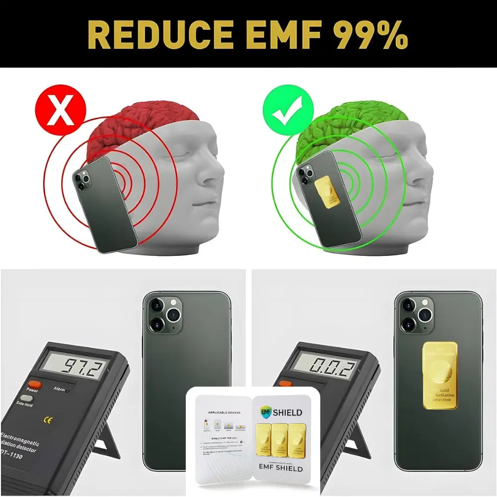 Μεγάλη Ασπίδα Άμυνας EMF